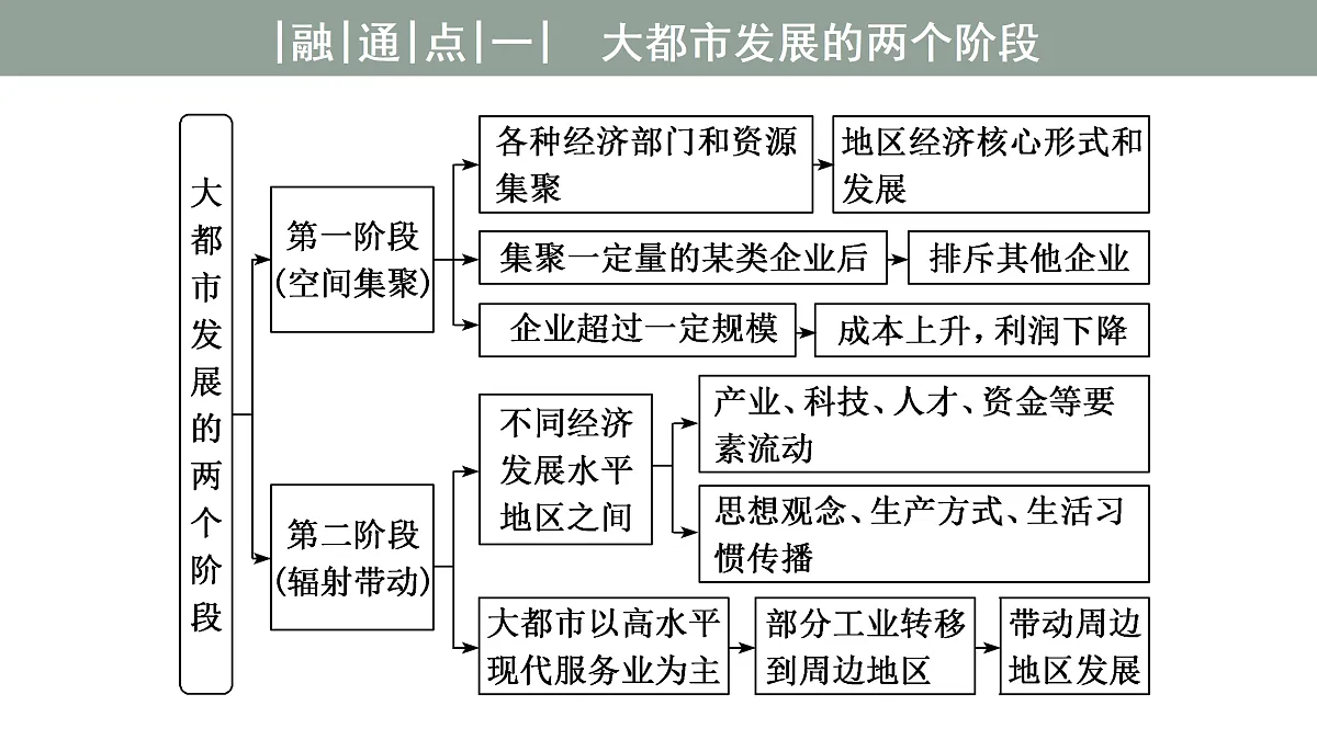 17417546第4页