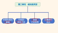 政治 (道德与法治)七年级上册（2024）家的意味多媒体教学ppt课件