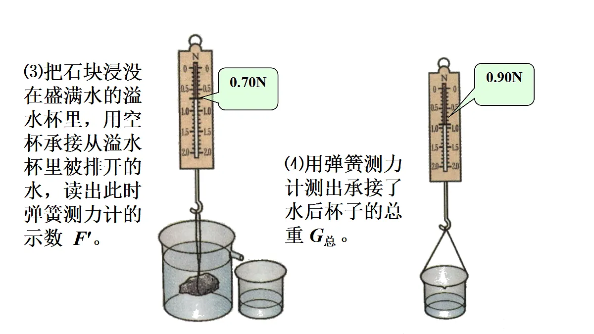 17419050第8页