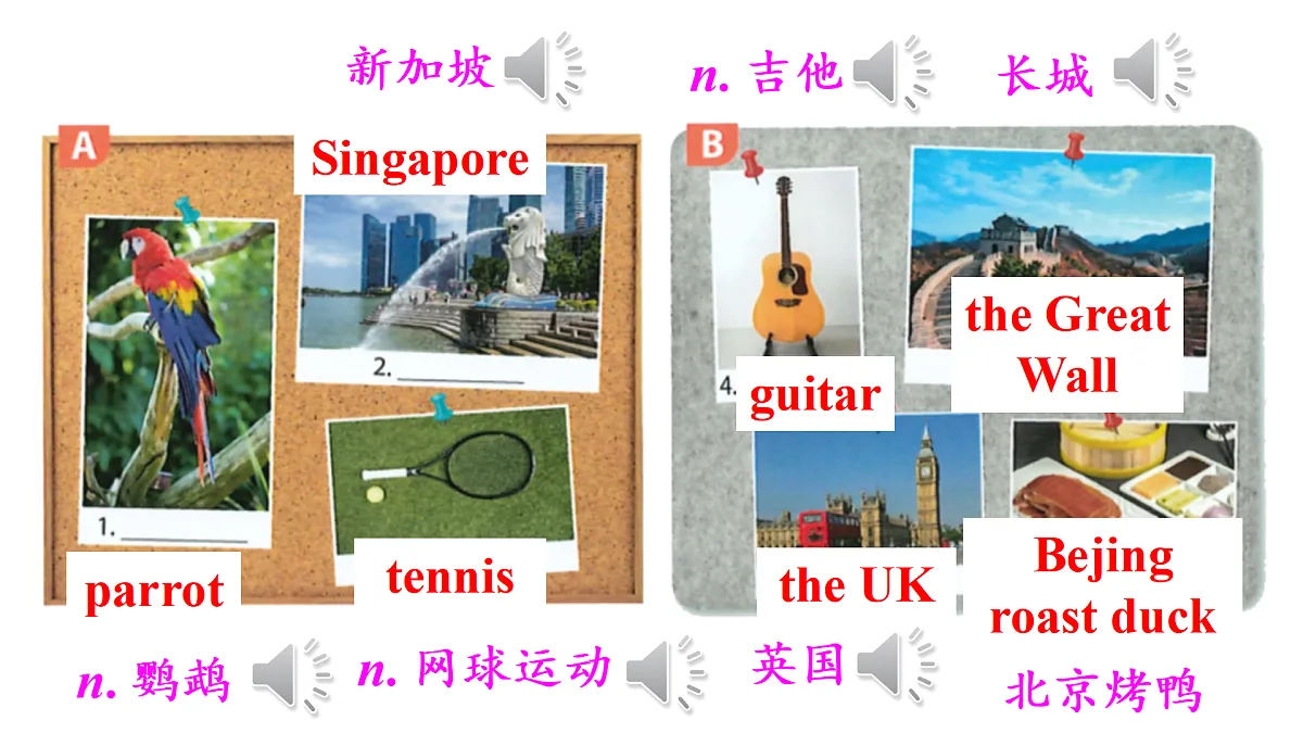 17423294第7页
