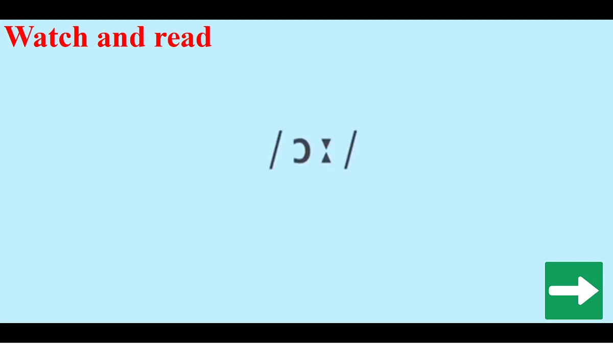 17423303第4页