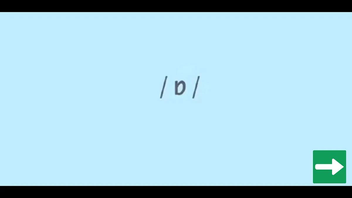 17423303第5页
