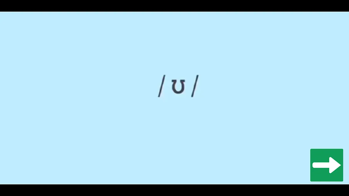 17423303第7页