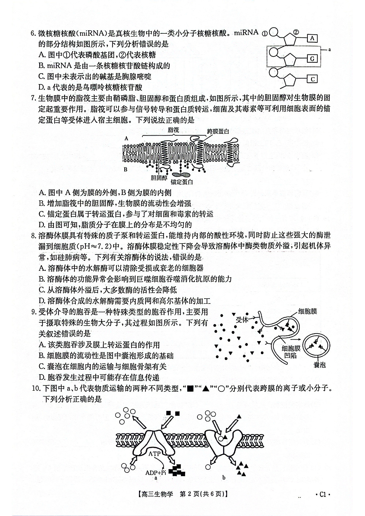 2025-2026年度上学期河南省高三年级第二次联考(26-37C)生物第2页