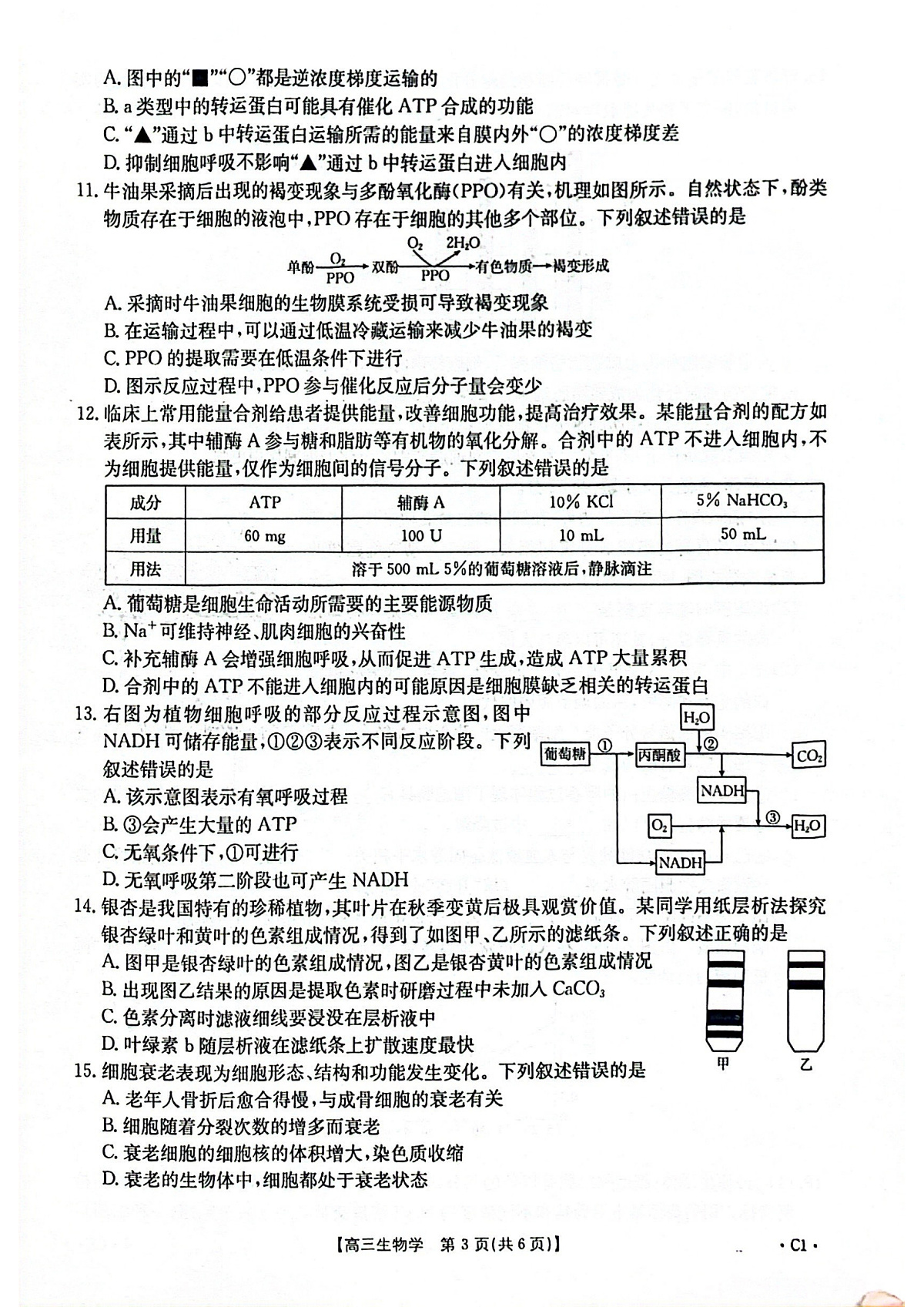 2025-2026年度上学期河南省高三年级第二次联考(26-37C)生物第3页