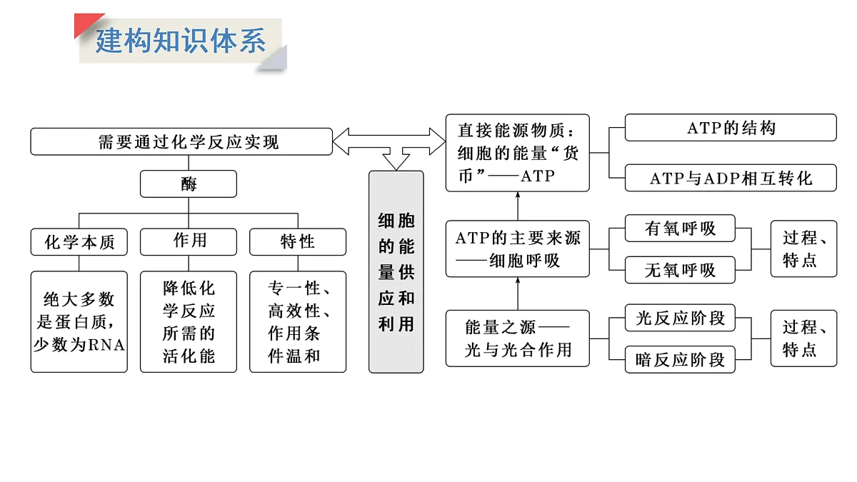 17424526第2页