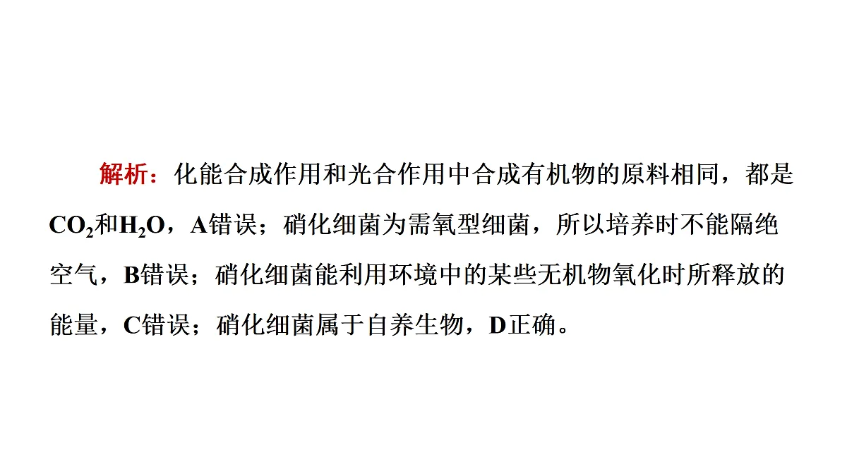 17424526第5页