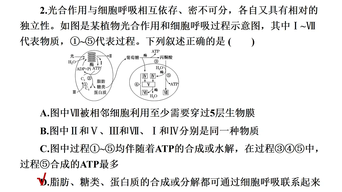 17424526第6页