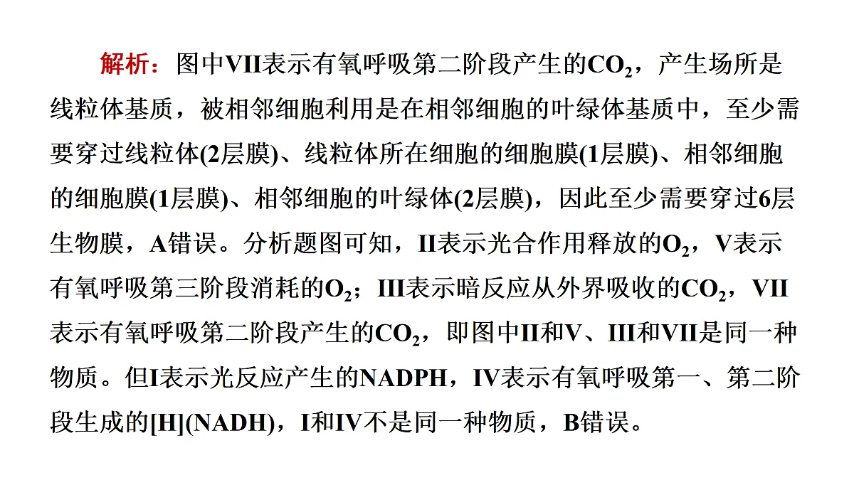 17424526第7页