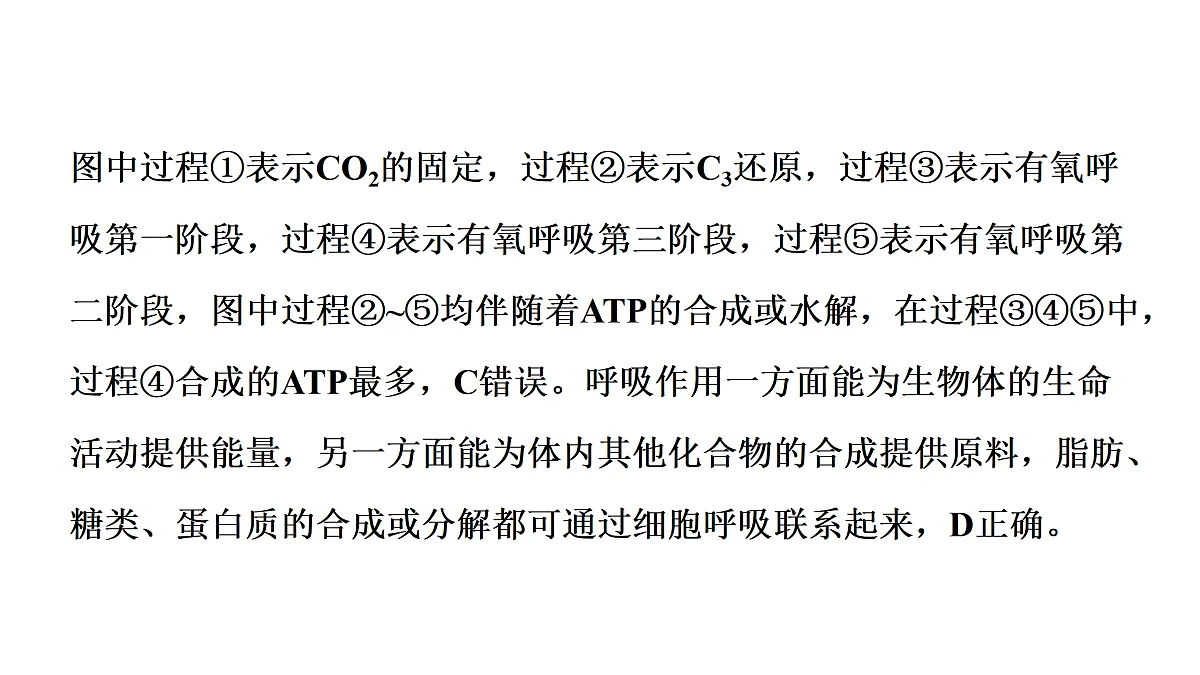 17424526第8页