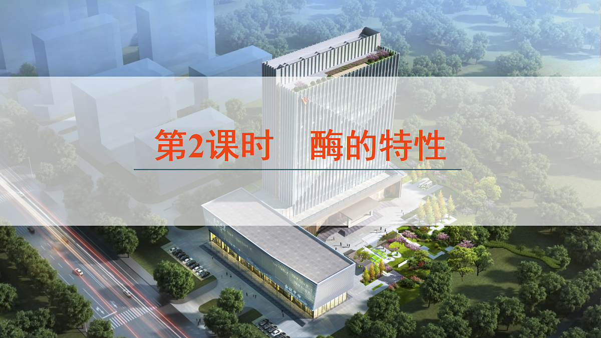 17424529第1页