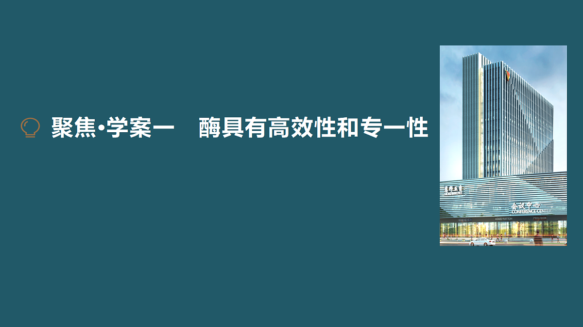 17424529第3页