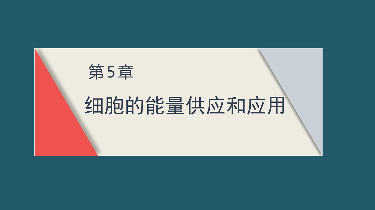 17424530第1页