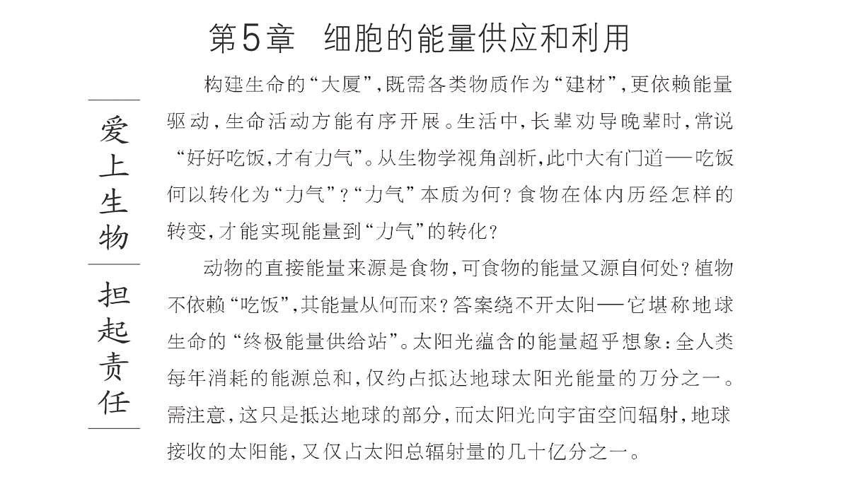 17424530第2页
