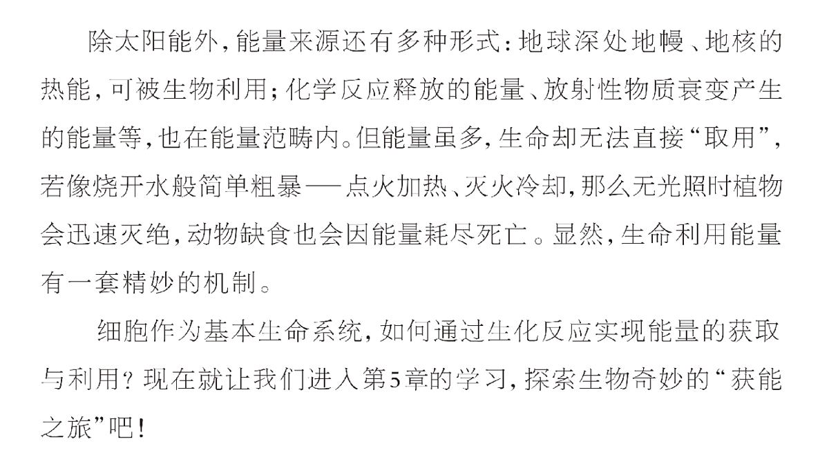 17424530第3页