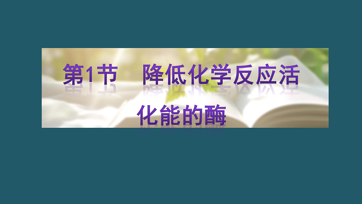 17424530第4页
