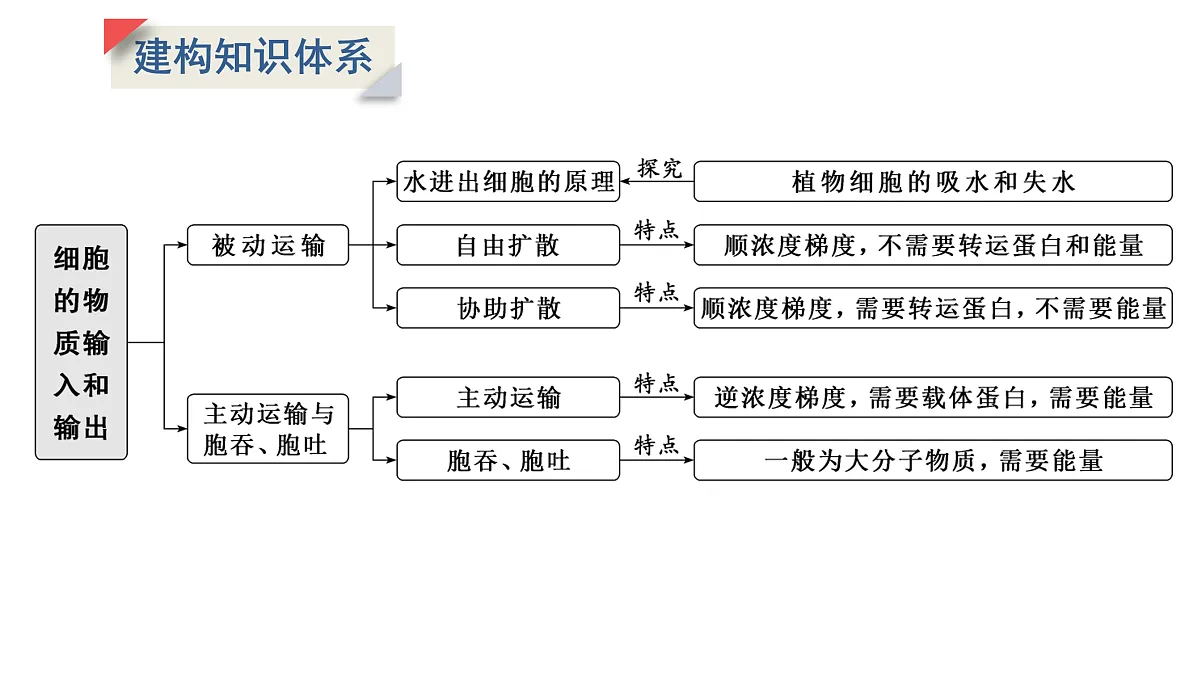 17424531第2页