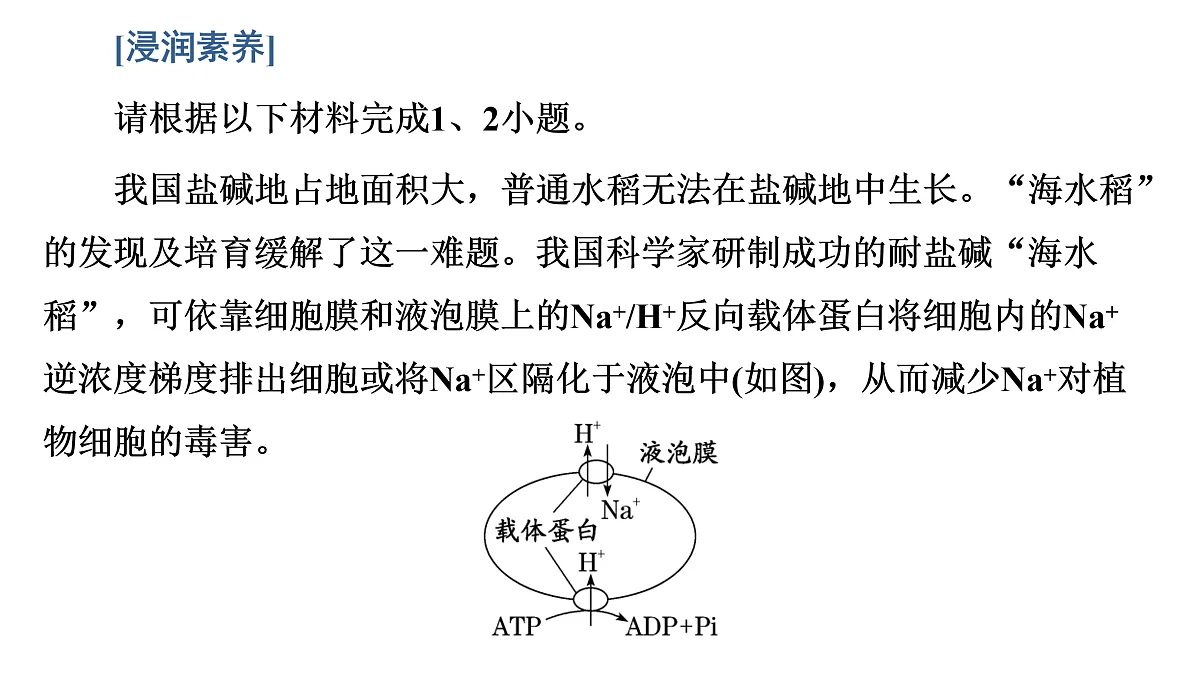 17424531第4页