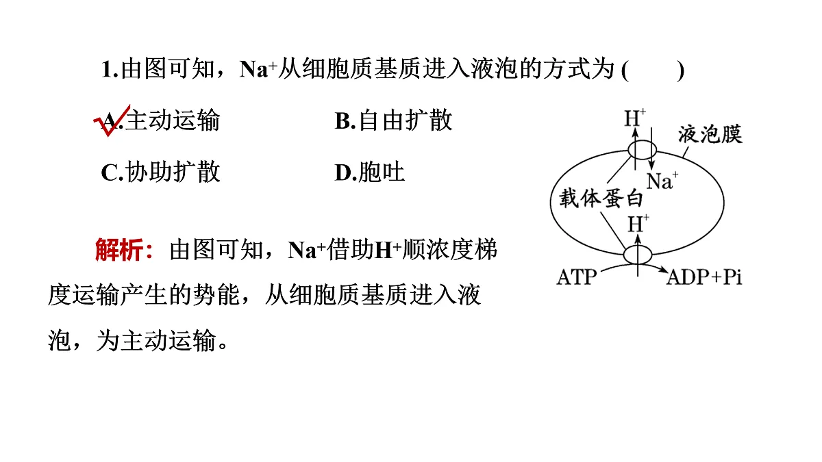 17424531第5页