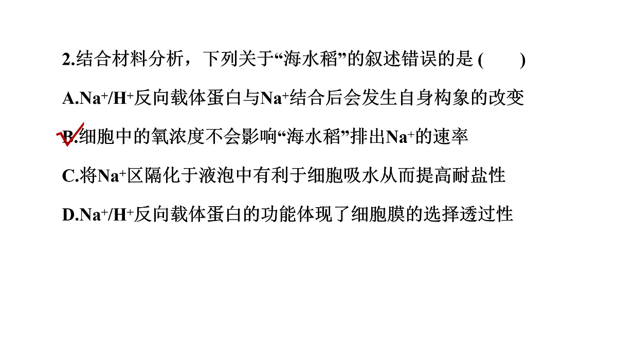 17424531第6页