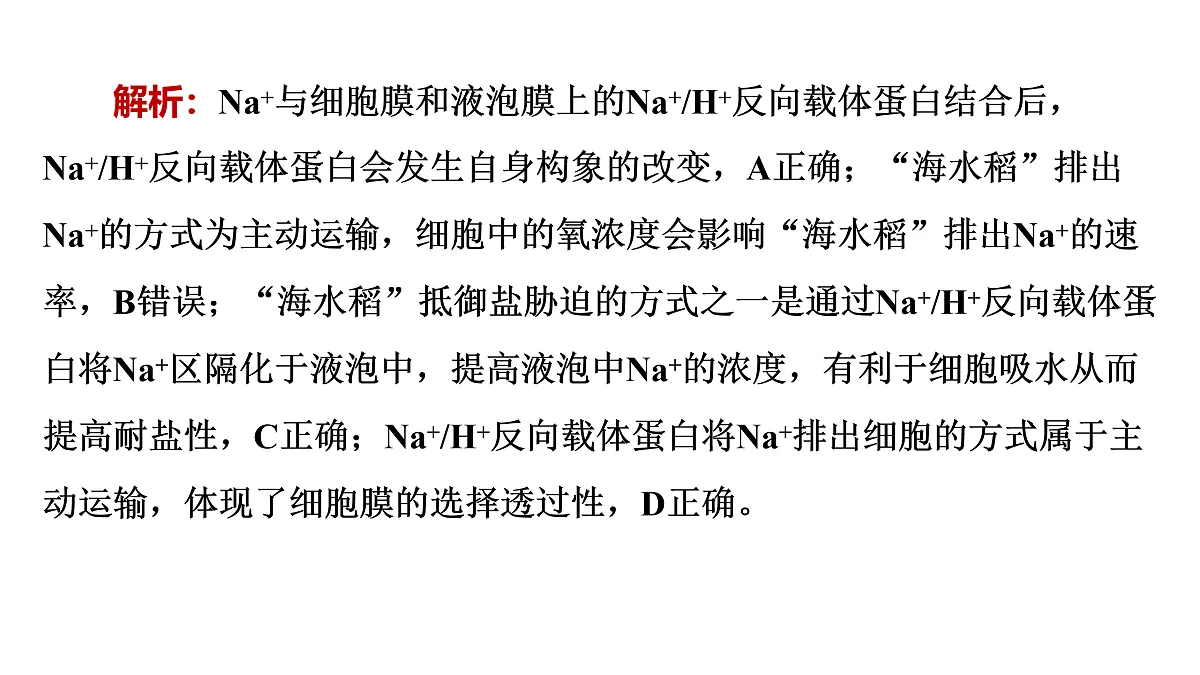 17424531第7页
