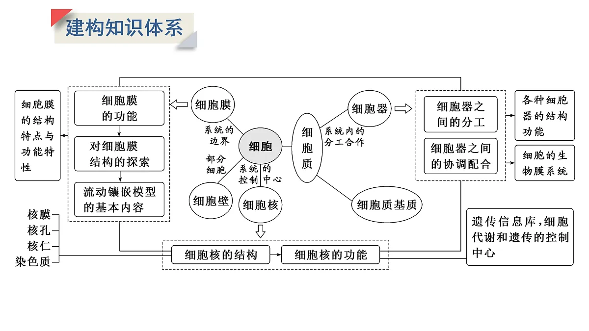 17424534第2页