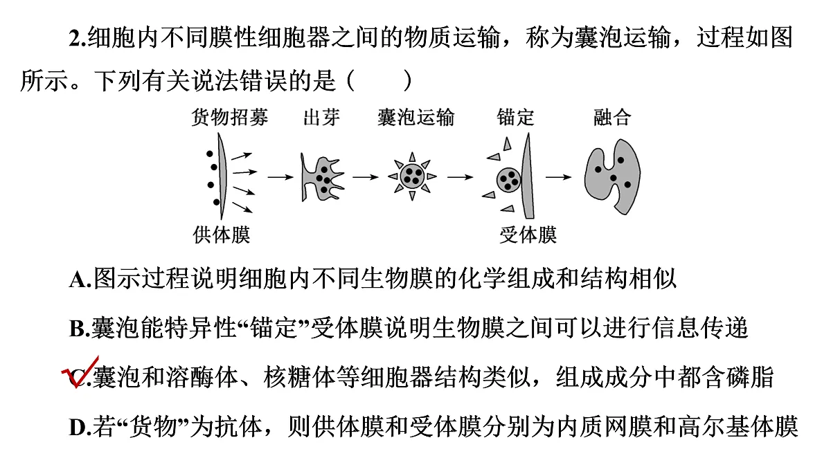 17424534第6页