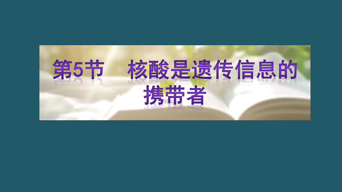 17424538第1页
