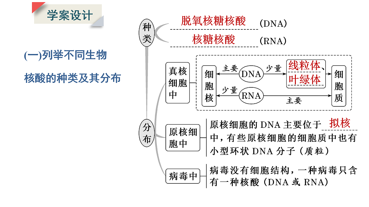17424538第5页