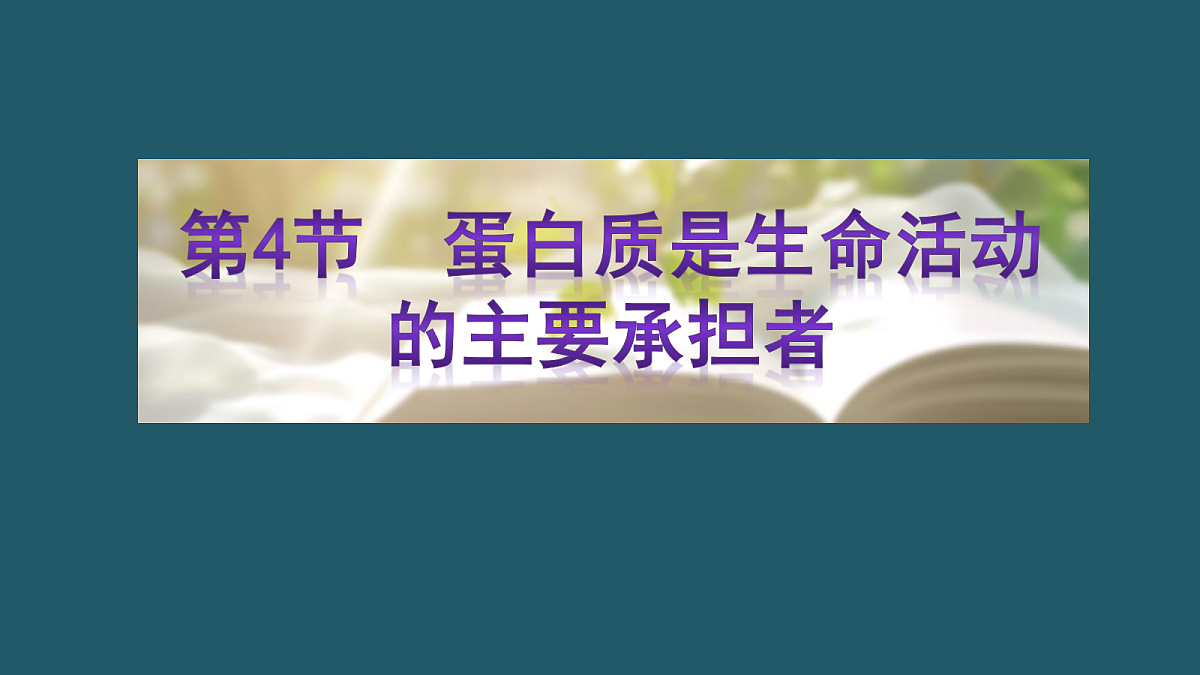 17424539第1页