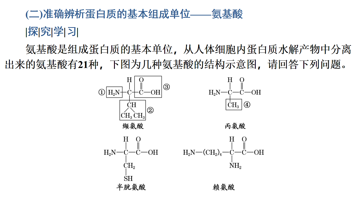 17424539第6页