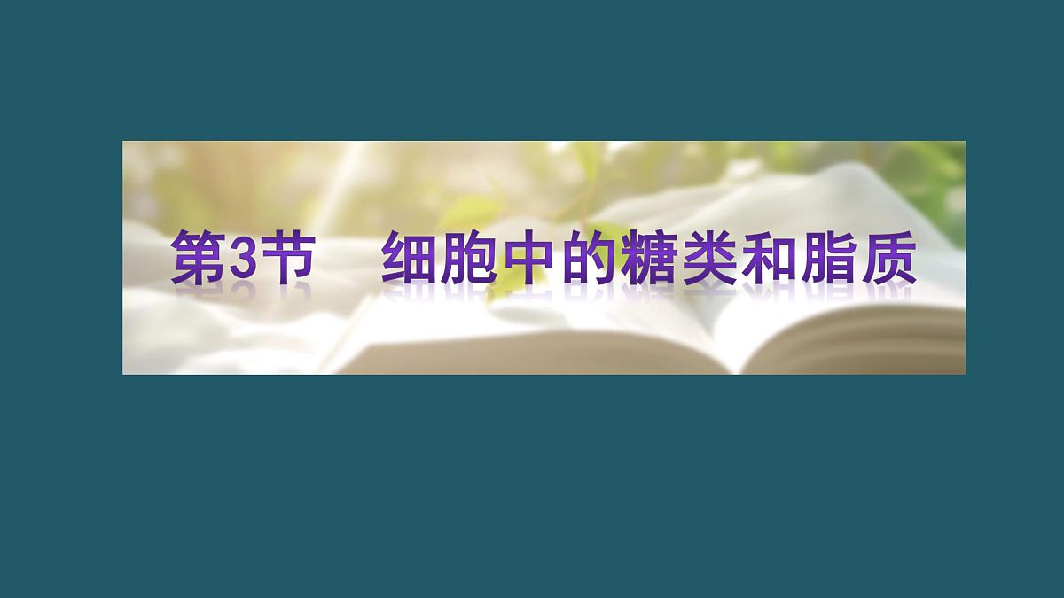 17424540第1页