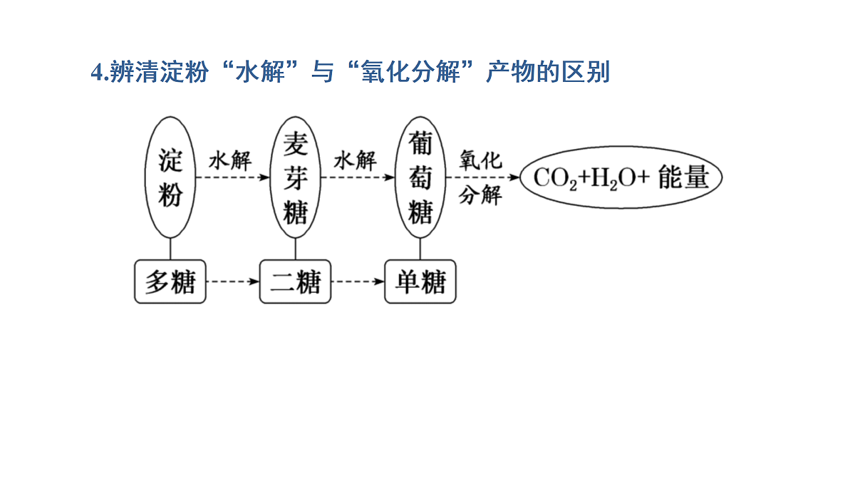 17424540第8页