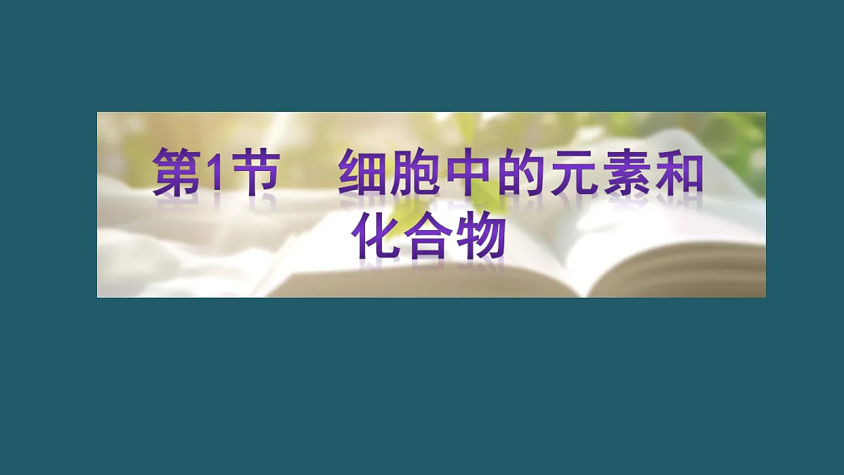 17424542第2页