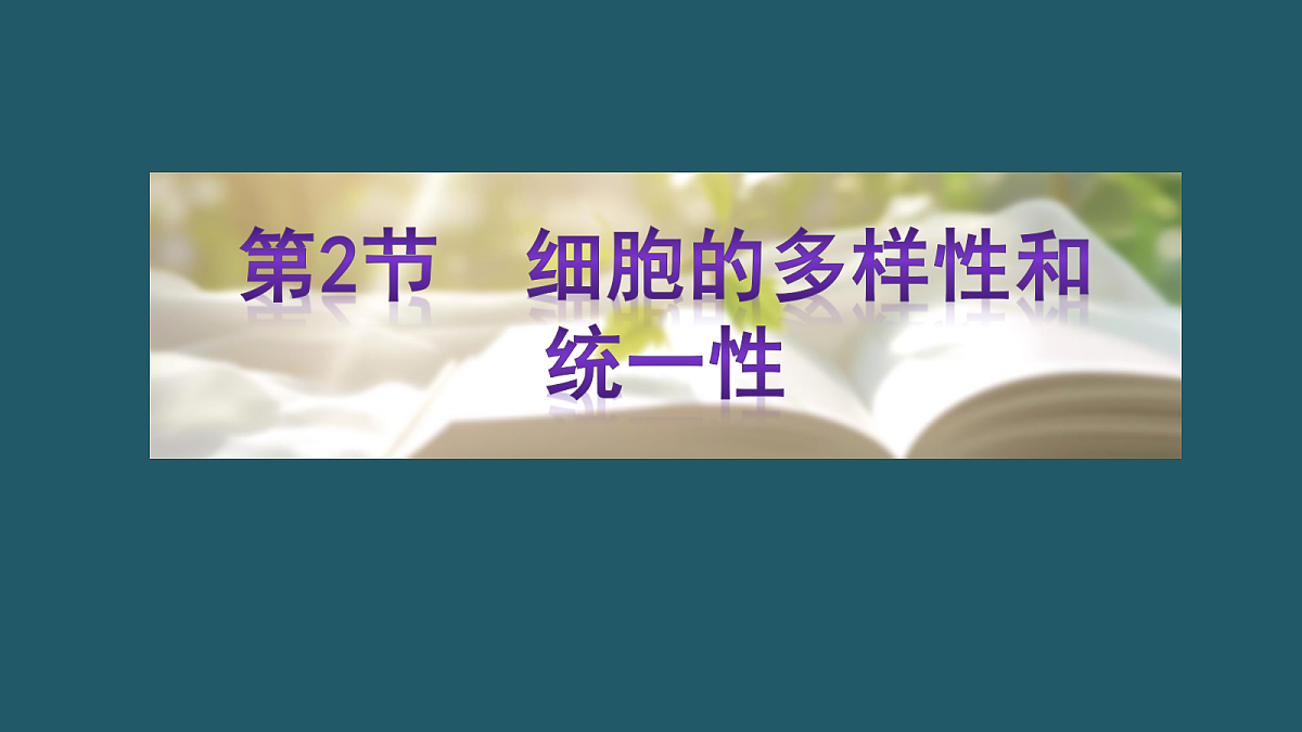 17424544第1页