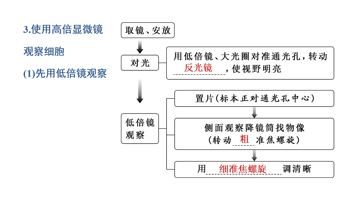 17424544第7页