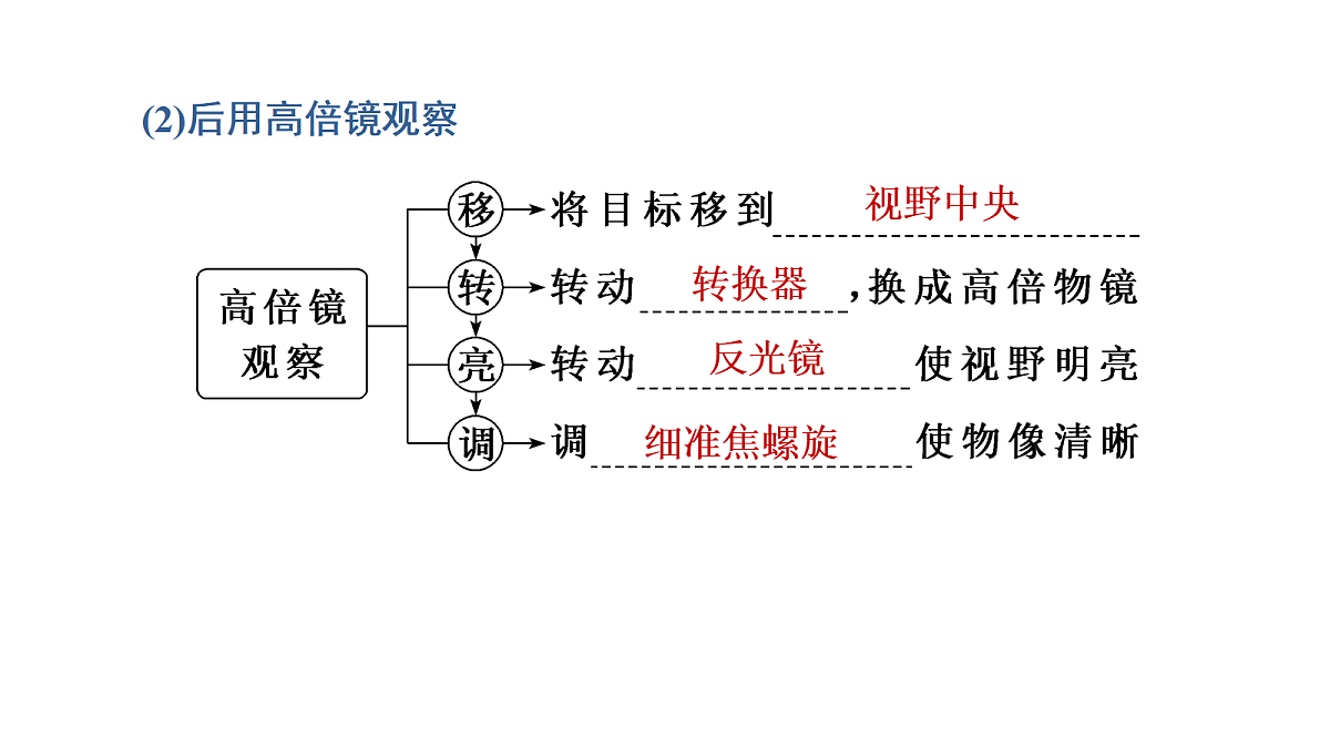 17424544第8页