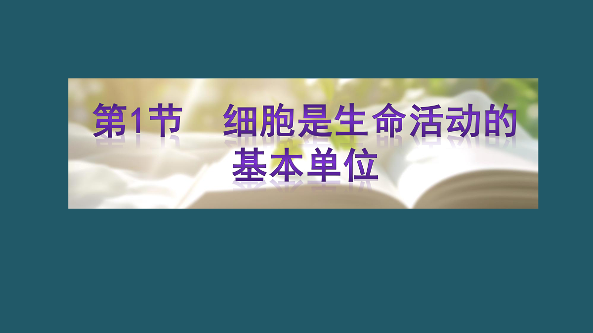 17424545第3页