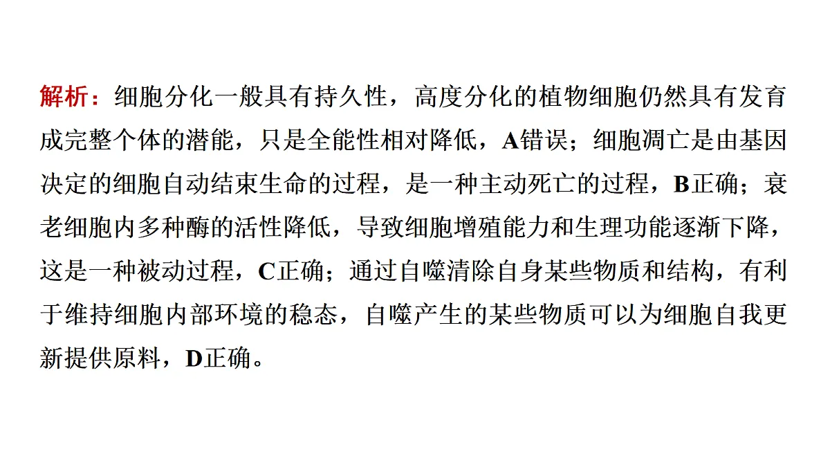 17424546第7页