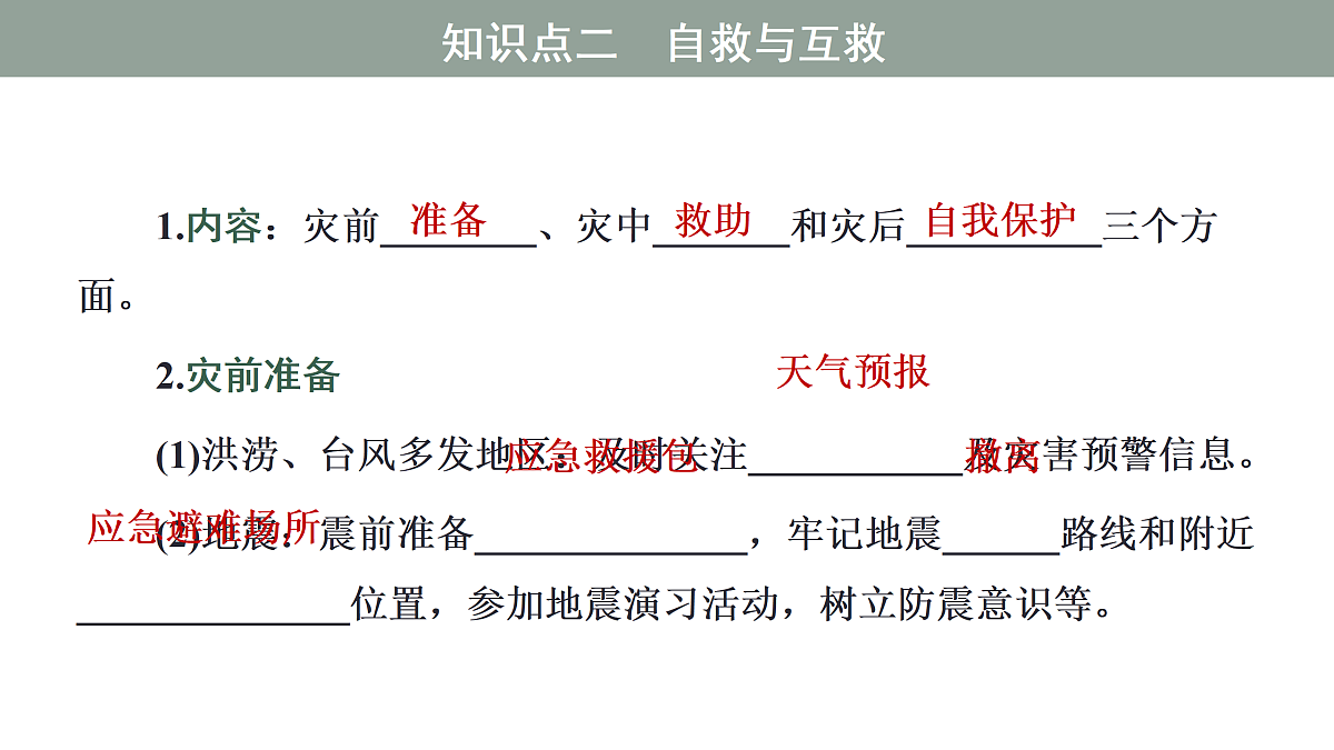 17424618第8页