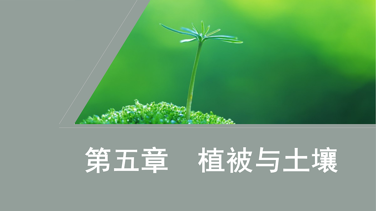17424621第1页