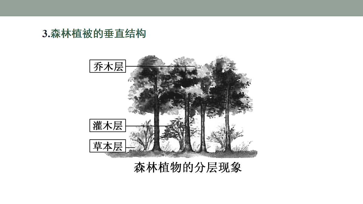 17424621第7页