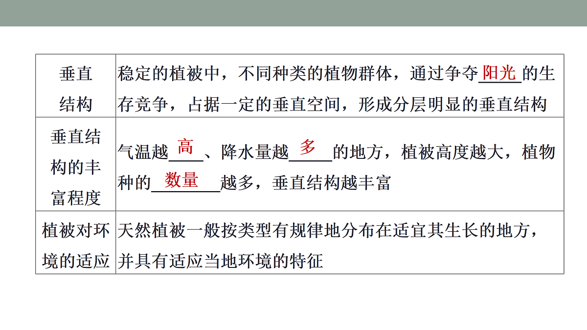 17424621第8页