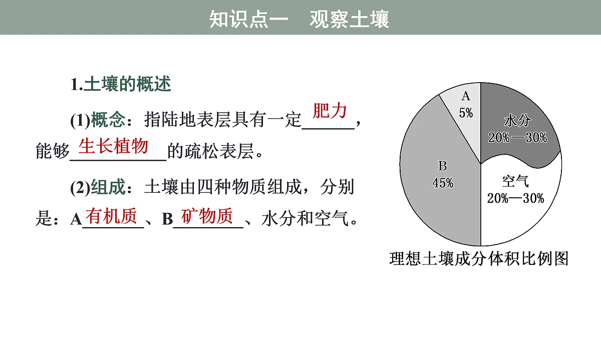 17424622第5页