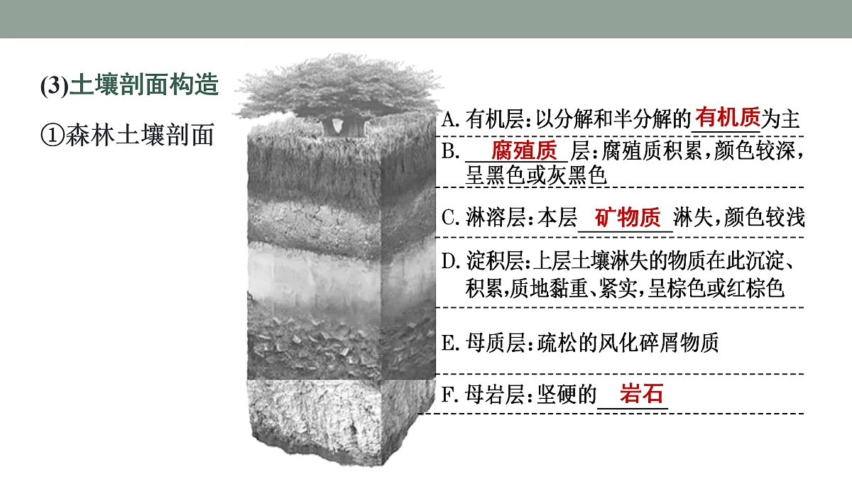 17424622第7页