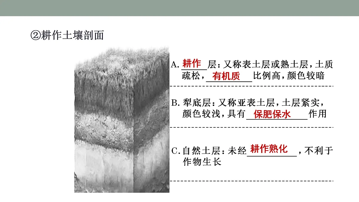 17424622第8页