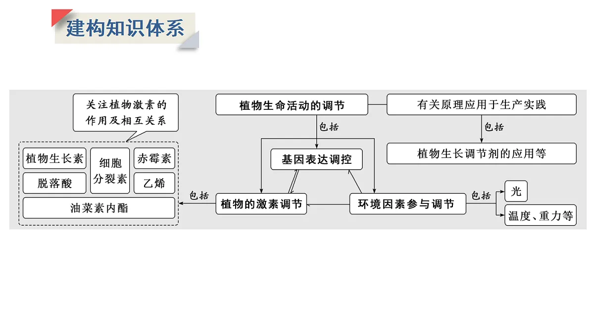 17424675第2页