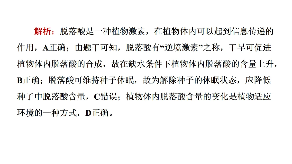 17424675第5页