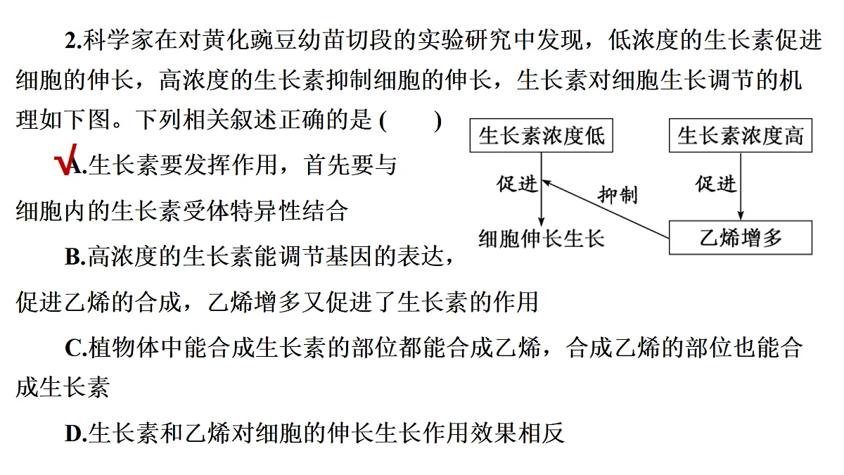 17424675第6页