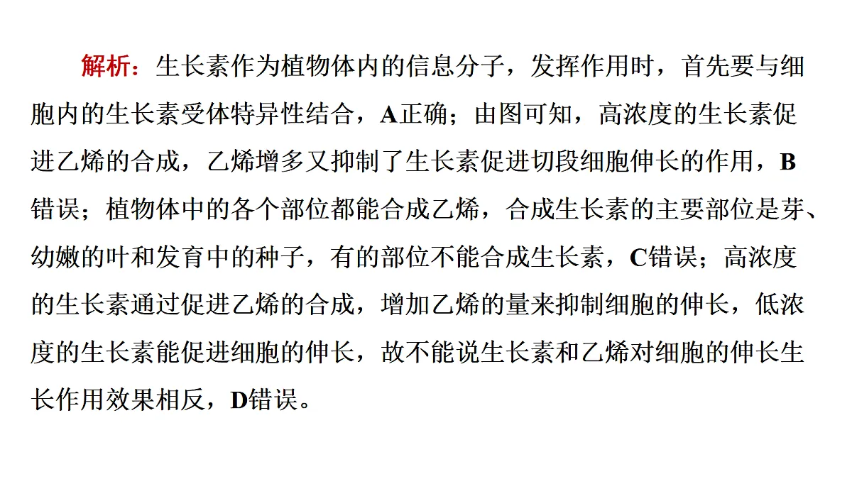 17424675第7页